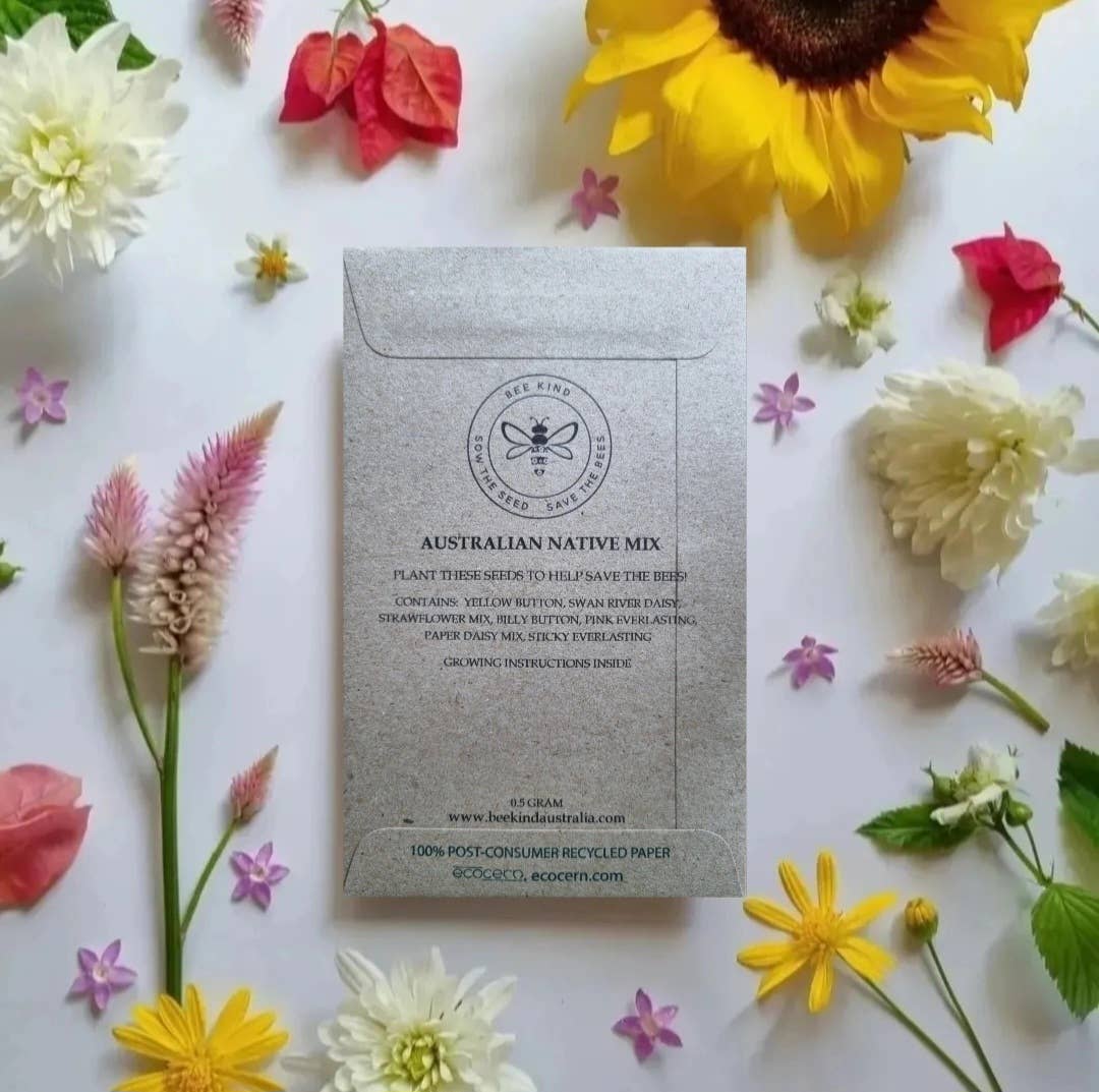 Christmas Koala - Australian Wildflower Seeds